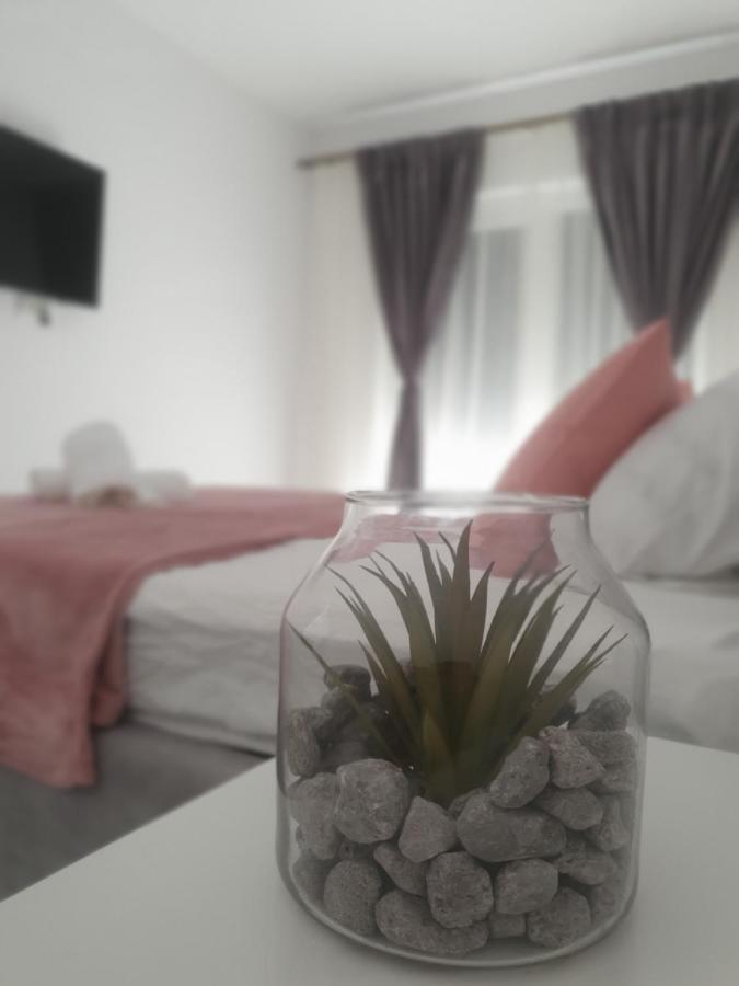 拉迪亚Ale House公寓 外观 照片